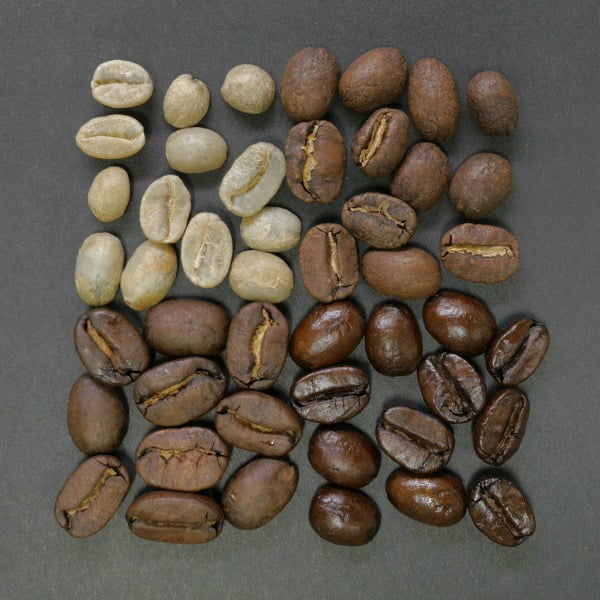 Coffee Supplies MN