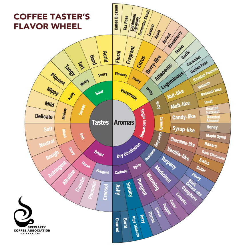 Coffee Tasting Wheel - Coffee Mill